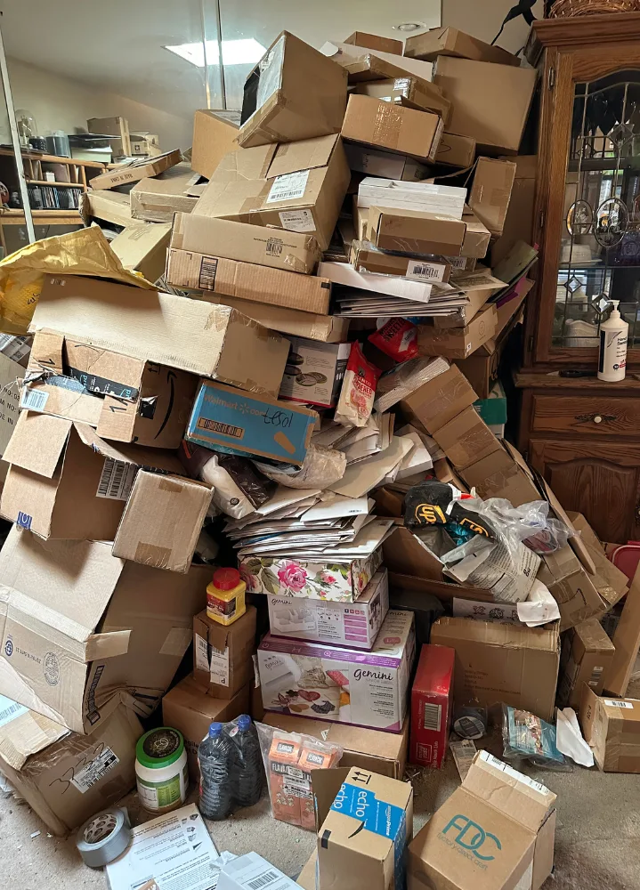 Living Room Before (WebP)